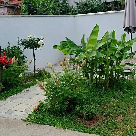 Gostinska Kuca 公寓 *